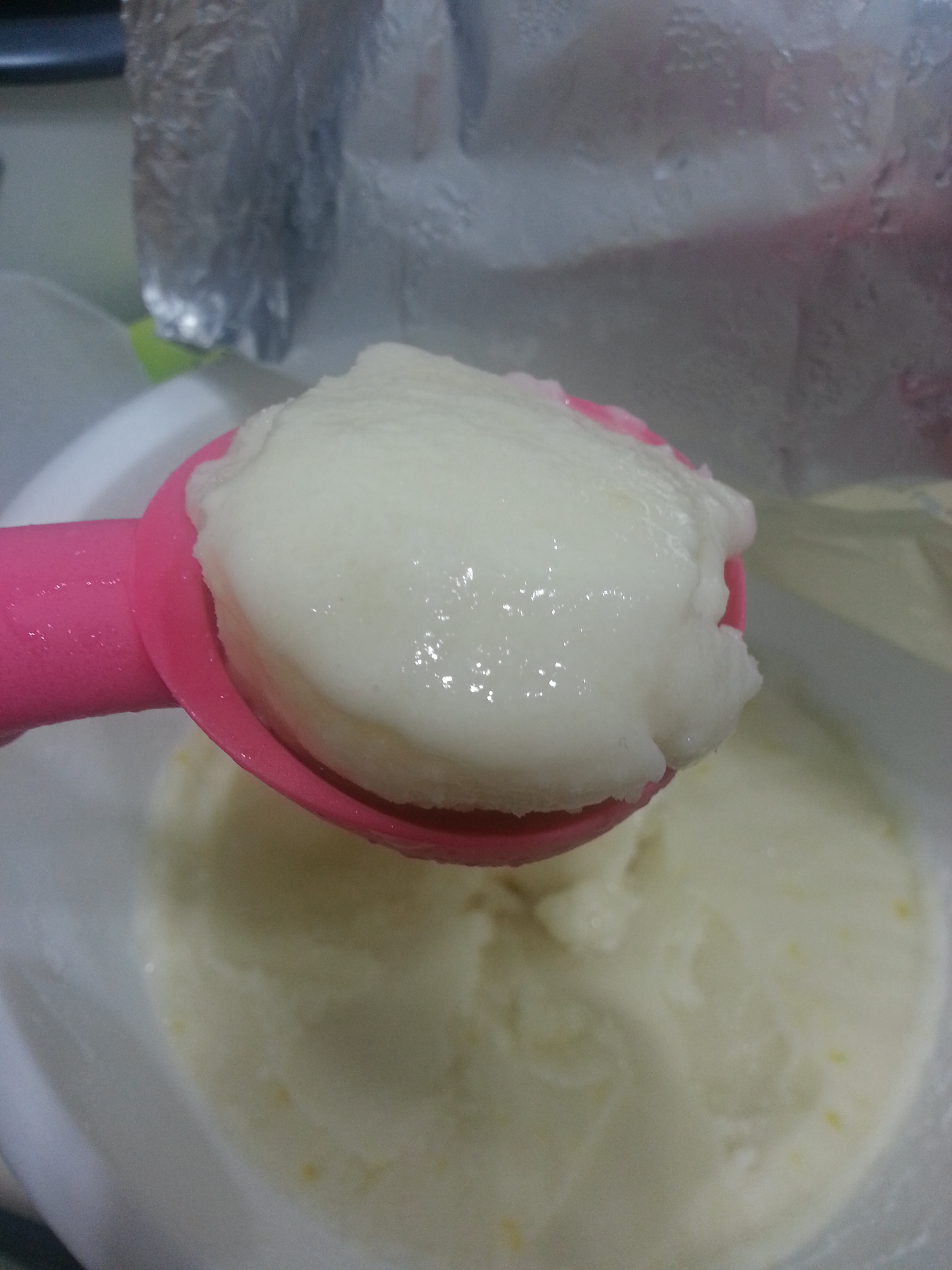 Tropical Homemade Coconut Ice cream Warm Toasty Muffins